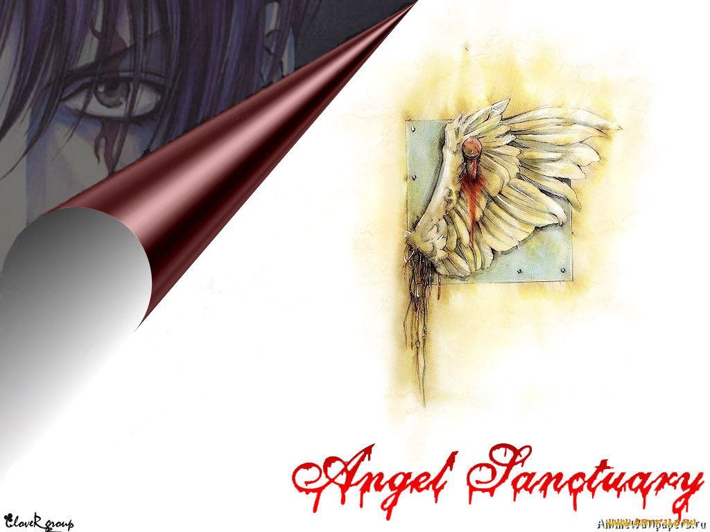 , angel, sanctuary